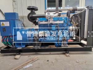 巩义宜家食品公司采购150千瓦潍柴无刷发电机组拉载正常